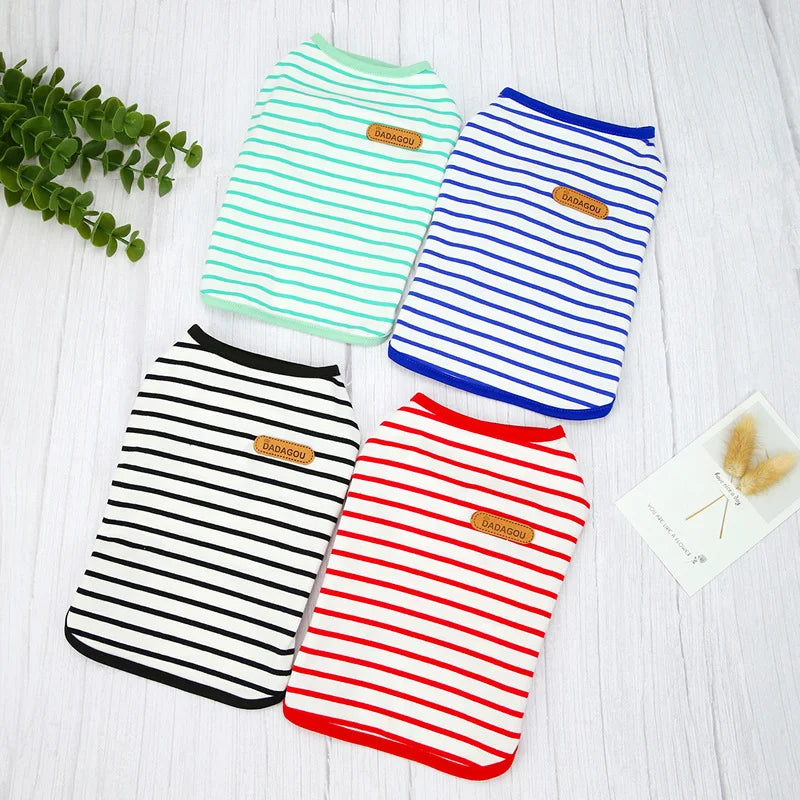 Mini Spring Shirt