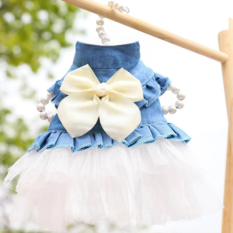 Mini Rainbow Dress