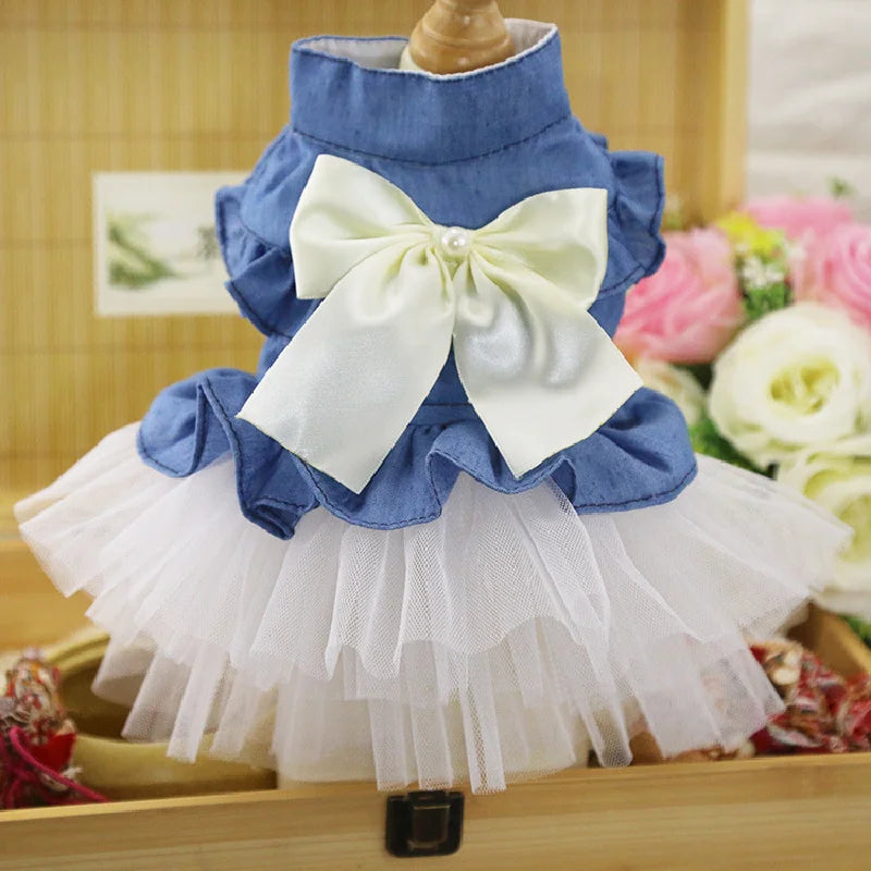 Mini Rainbow Dress