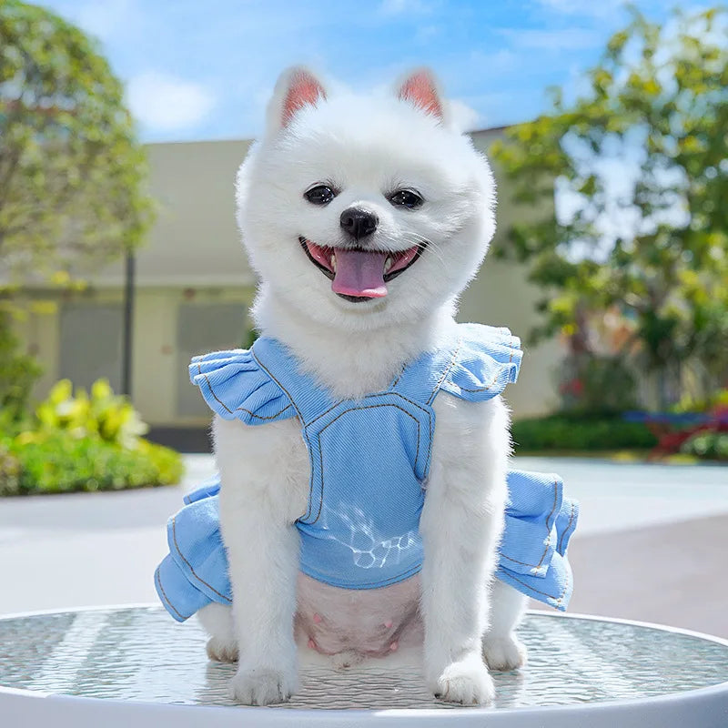 Mini Baby Dress
