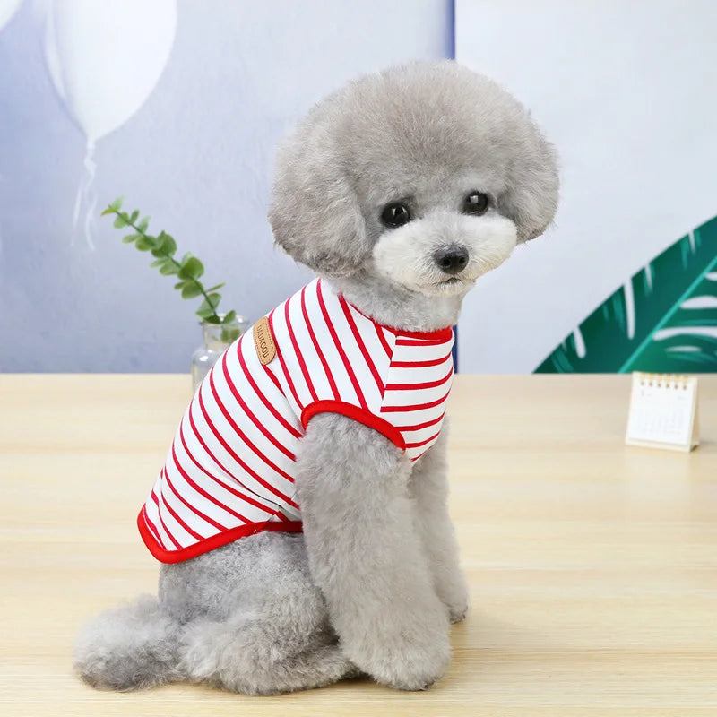 Mini Spring Shirt