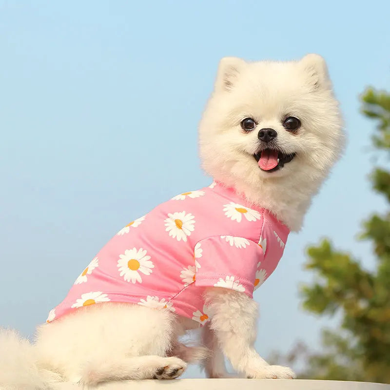 Mini Sunrise Shirt