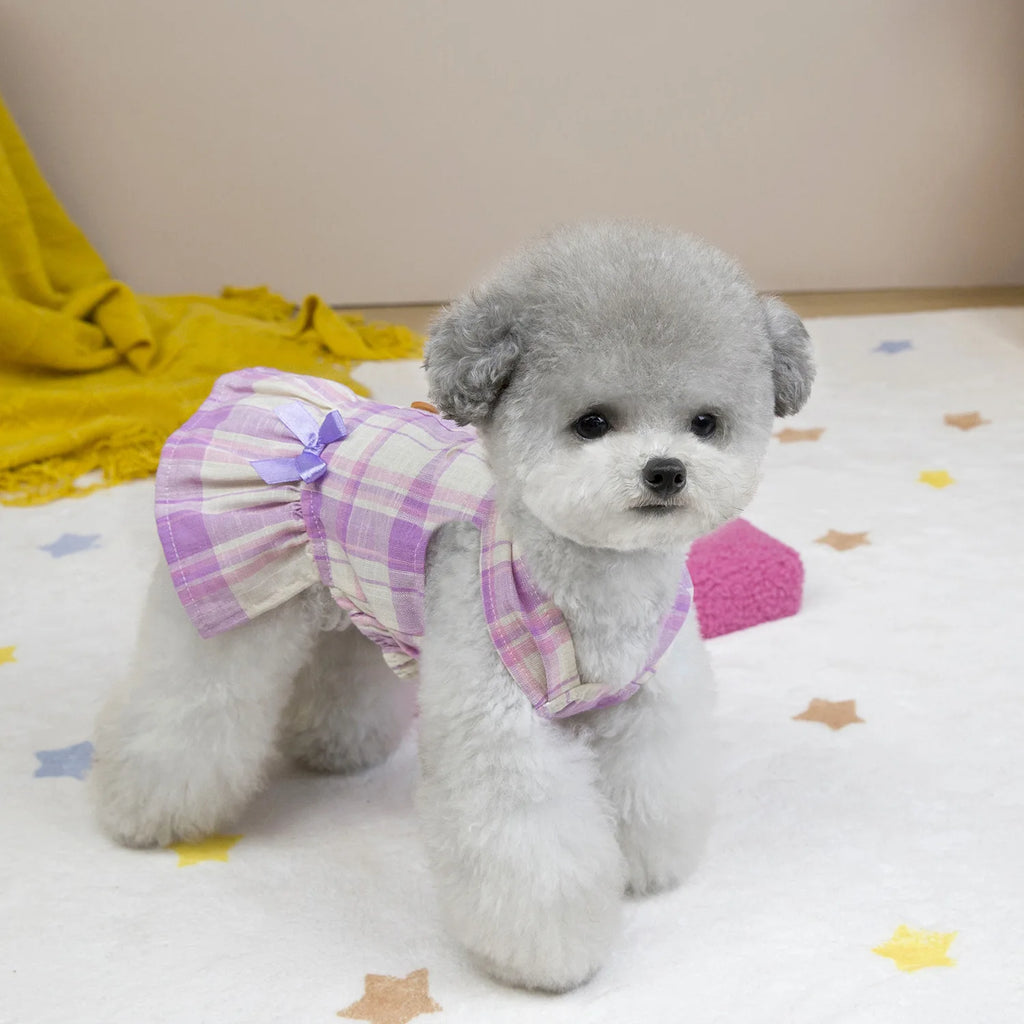 Mini Princess Dress