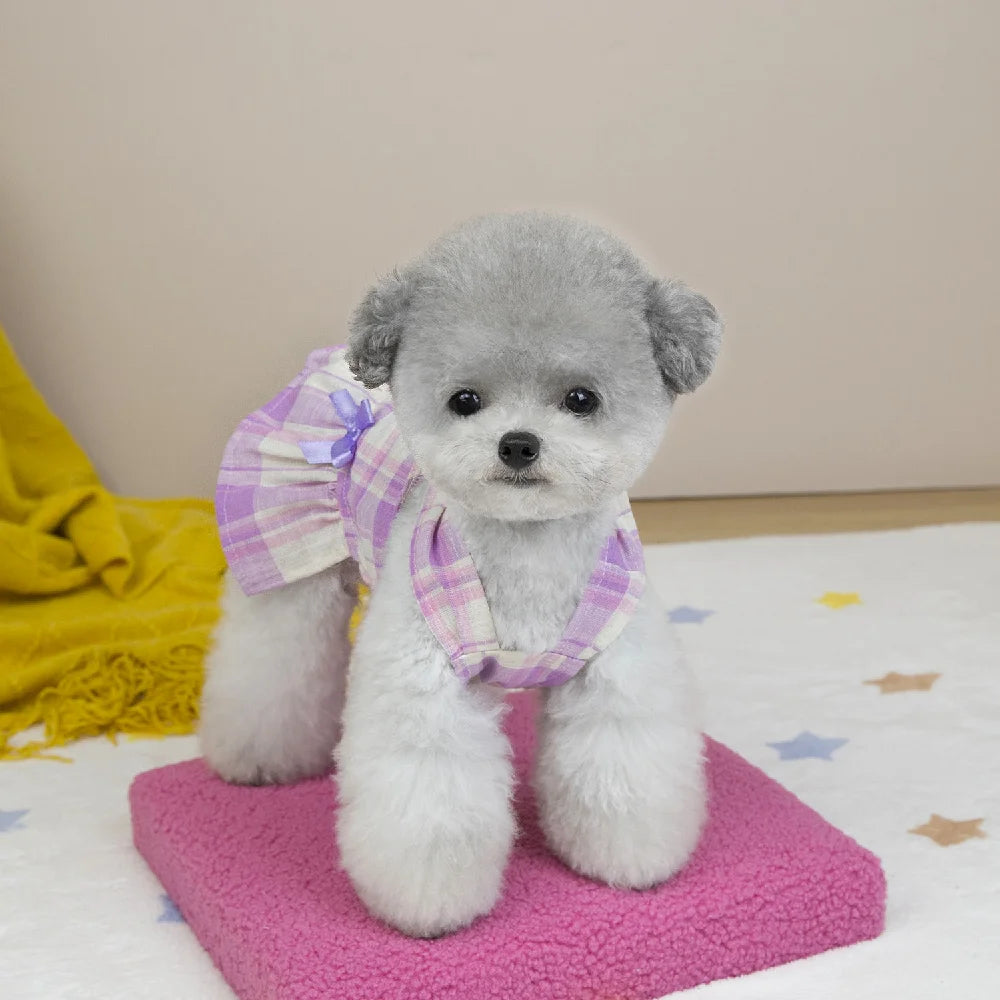 Mini Princess Dress