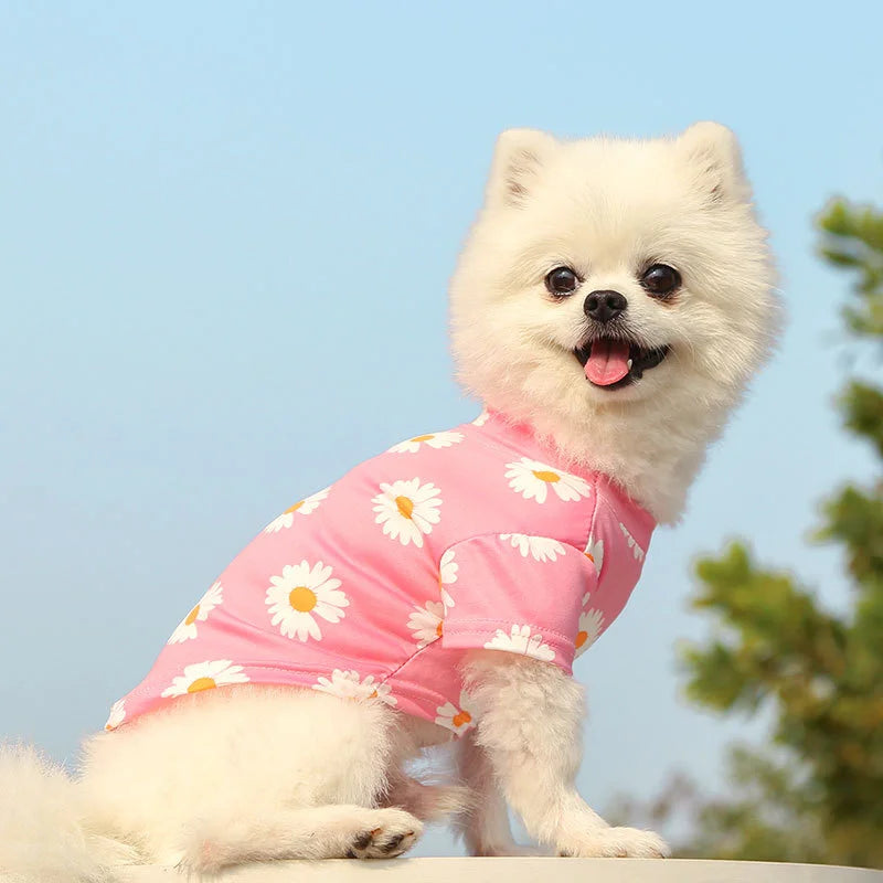 Mini Sunrise Shirt