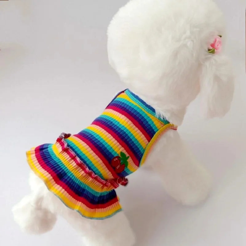 Mini Arcoiris Dress