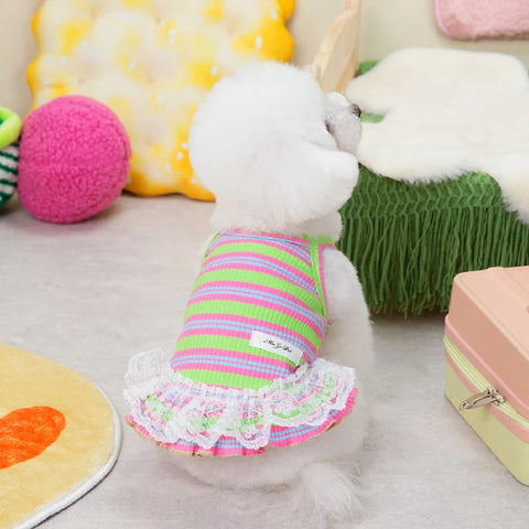 Mini Pinki Dress