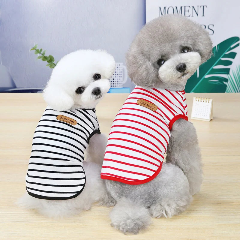 Mini Spring Shirt
