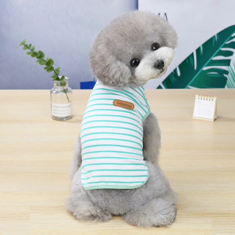 Mini Spring Shirt
