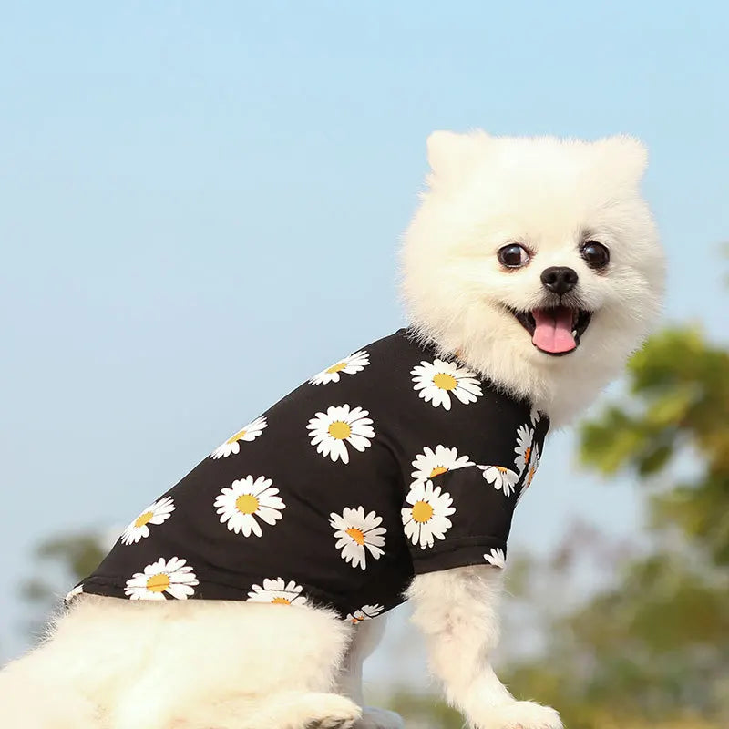 Mini Sunrise Shirt