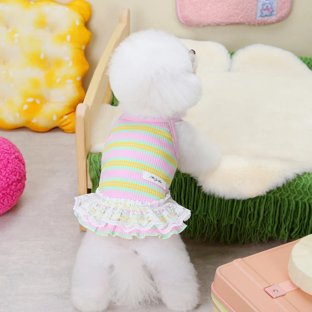 Mini Pinki Dress