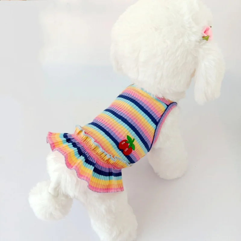 Mini Arcoiris Dress