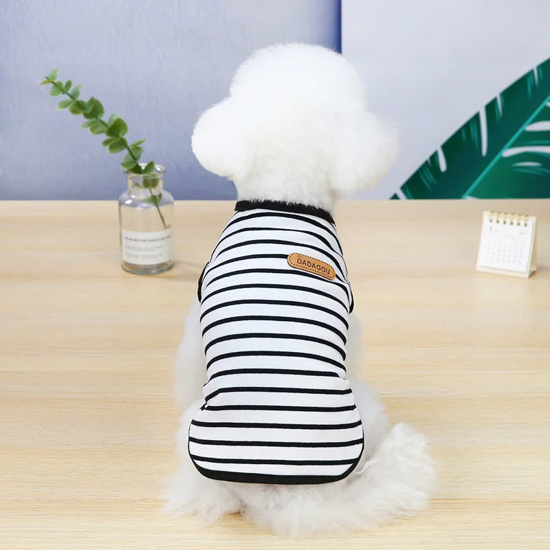 Mini Spring Shirt